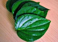 betel leave