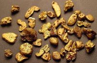 Gold Nuggets 