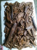 Agarwood 