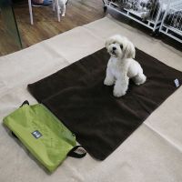 Hot sale outdoor portable roll in pet blanket with Bag,travel dog mat blanket