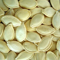 pumpkin seeds