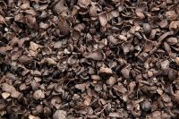 Palm Kernel Shells