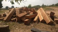 Kosso Wood - Famour Nigerian Good Quality Timber