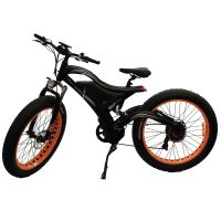 Smart Peak Electric Bicycle