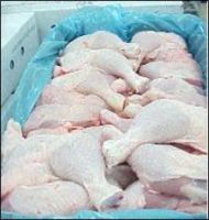 Halal/ Non Halal frozen chicken grade A