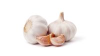 Fresh Garlic