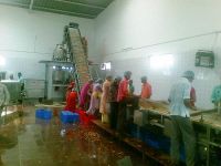 Mango Processing Machinery