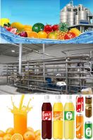 Fruit Juice Processing Plant