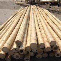 https://ar.tradekey.com/product_view/Bamboo-Pole-8714103.html