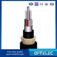 ADSS All-Dielectric Self-Supporting Optic Fiber Cable 24 Fibers