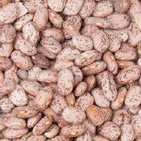 Pinto Beans