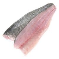 Sea Bass Fish Boneless