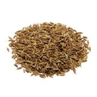 cumin seed