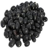 Pure Black Kidney Beans