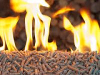 Cheap Wood pellets, White wood pellets