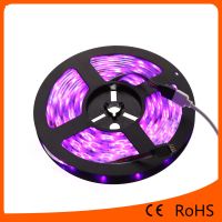 5050 Rgbled Flexible Strip Light 30led/m Waterproof Led Light Strip For Chrismas Lighting