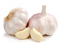 Fresh Garlic