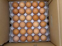 Fresh Brown and White Eggs