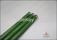 Green Color Pe Plastic Coated Steel Garden Stakes 8mm Diameter And 75