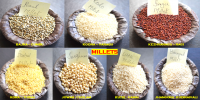 Millets