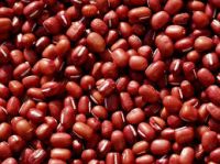 Red Soya Beans