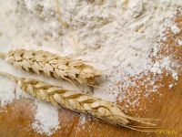 Wheat Flour Premium Grade Ukraine