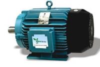 AC 3 Phase Squirrel Cage Induction Motor