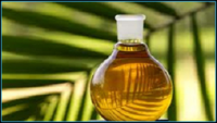 Edible Oils