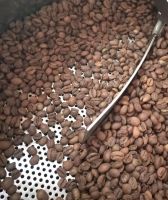 100 % Original Willd Luwak coffee| civet coffee