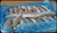 Horse Mackerel, Hake, Cod, Snoek, Angelfish, Ribbonfish, East Coast Sole, Pilchards, Kingklip, Pink Prawns, Monk fish, Oysters & Mussels.Â Â  