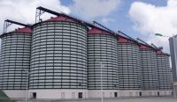 Assembly Steel Structure Heat-preservation Grain silo