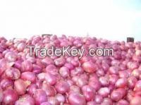 Red Onion