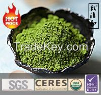 Best Price Organic Matcha Green Tea Powder