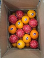 Fresh Oranges