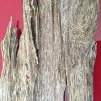agarwood chip, oud chip incense