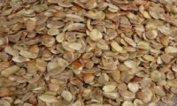 Dried Ogbono Seeds