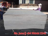 Packing plywood BC cheap price for sale