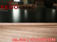 Concrete film face plywood/hard wood core plywood for construction