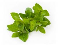 Oregano Leaves