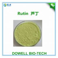 Top Quality Wholesale Product Best Price  Rutin  Powder