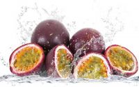New Crop Passion Fruit For Sale