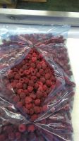 Frozen Raspberries - IQF