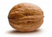                  (walnut)