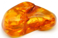 Amber Jewelry From Poland