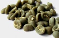 Grade 2 Arabica Coffee Beans from Sumatra