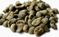 Grade 3 Arabica Coffee Beans from Sumatra