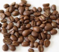 Roasted Robusta Coffee Beans from Sumatra