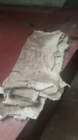 Wet and dry salted and Unsalted Donkey Hide