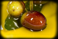 Ordinary Olive Oil