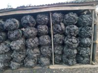 HARDWOOD CHARCOAL